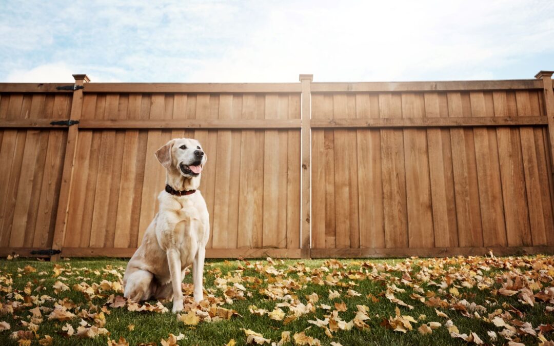 Wood fencing